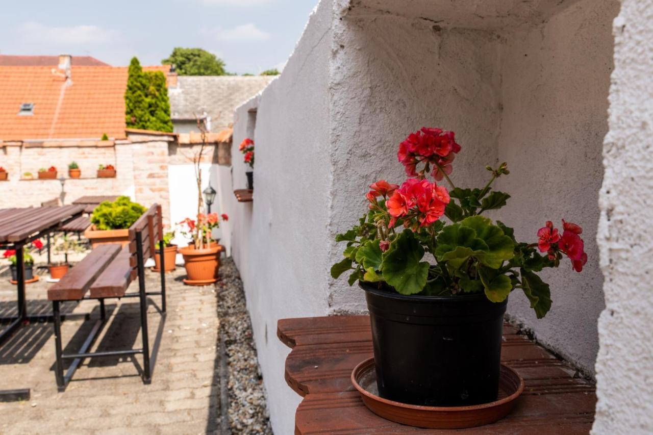 Bed and Breakfast Fényes Vinorium Sopron Exterior foto