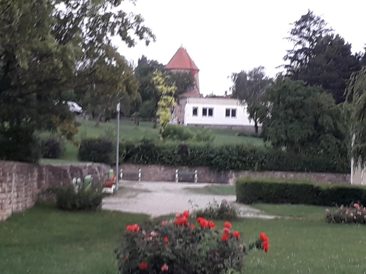 Bed and Breakfast Fényes Vinorium Sopron Exterior foto